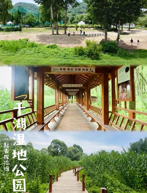 宝鸡千湖湿地公园 三季露营邂逅千湖科技